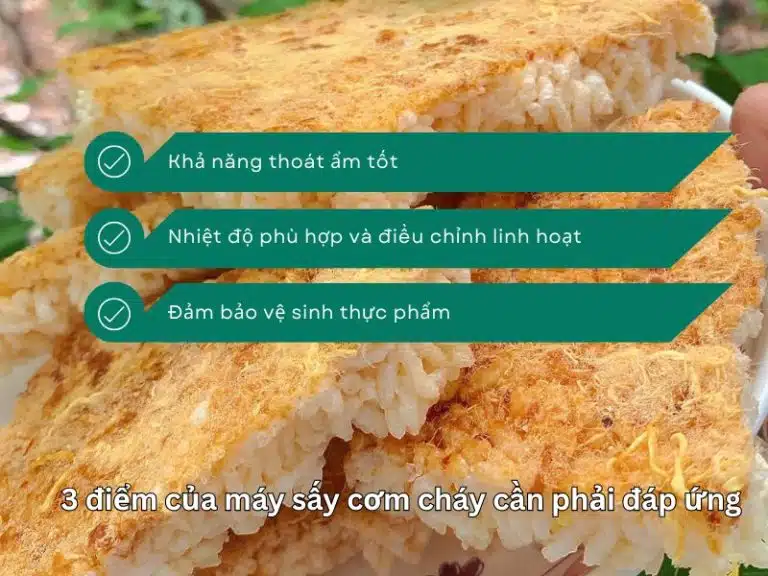 3 Diem May Say Com Chay Can Phai Dap Ung 768x576.jpg