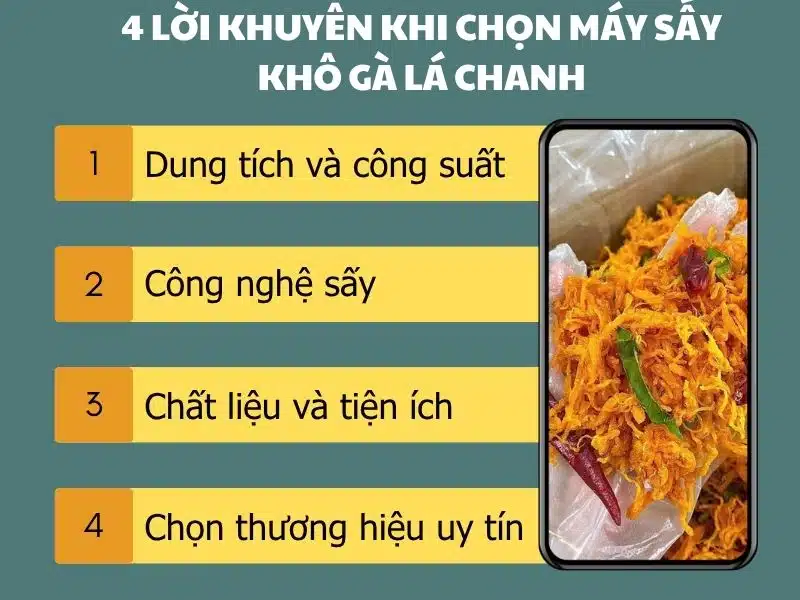 4 Loi Khuyen Khi Chon May Say Kho Ga La Chanh.jpg